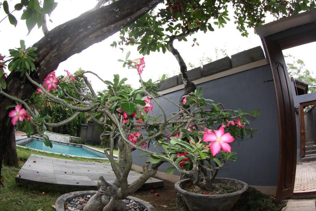 Villa D'Suite Seminyak Extérieur photo